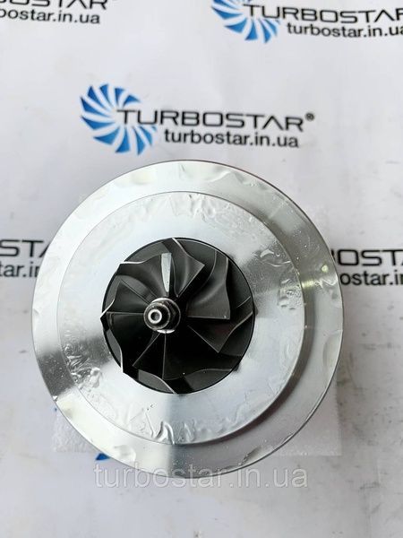 Картридж турбіни СЕАТ Леон - SEAT Leon. Мотор 1.8 B (BKV,BJX,BBU,БЛЦ). 53039700052, 53039700053 53039700058 K03-8 фото